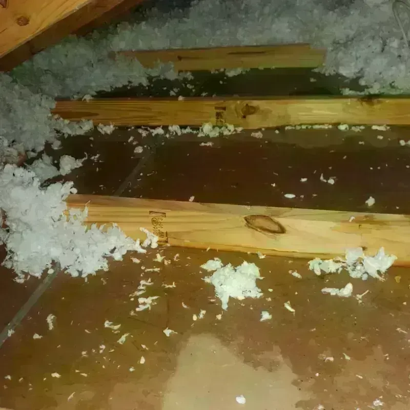 Attic Water Damage in Muldrow, OK